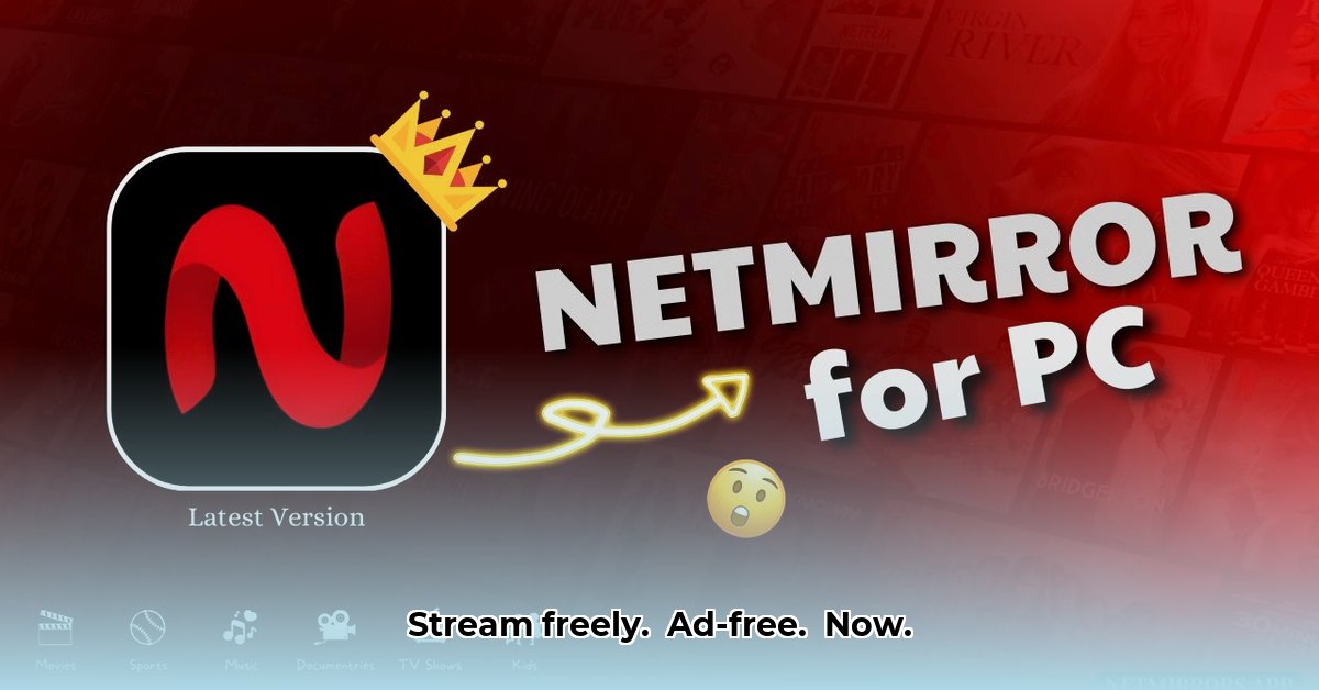 netmirror-pc